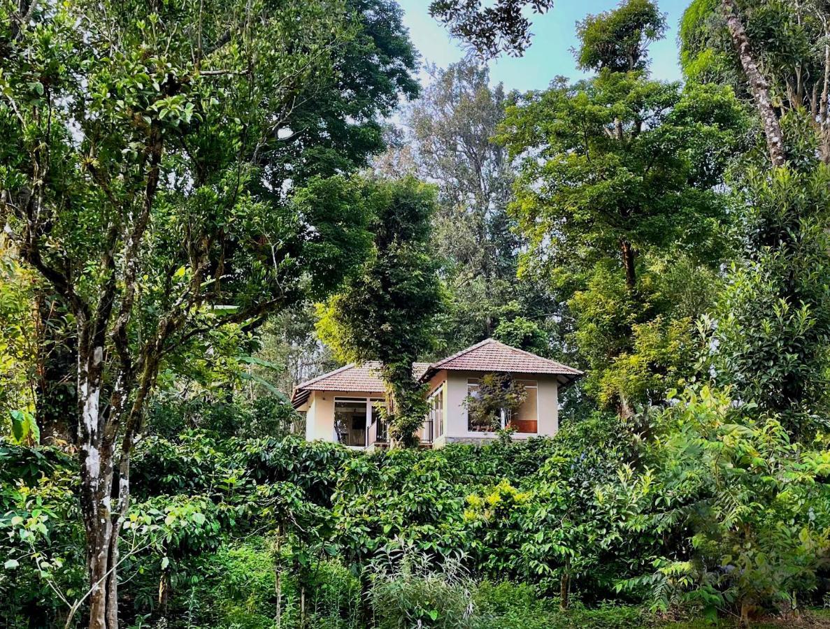 Montrose Golf Resort And Spa - Coorg Jambur Exteriör bild